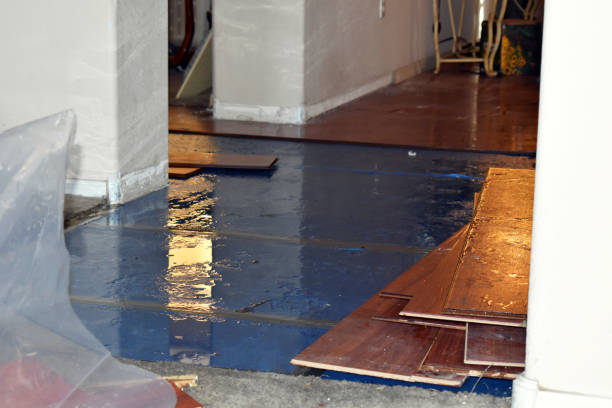 Professional Burst Pipe Cleanup technician working in East Falmouth, MA